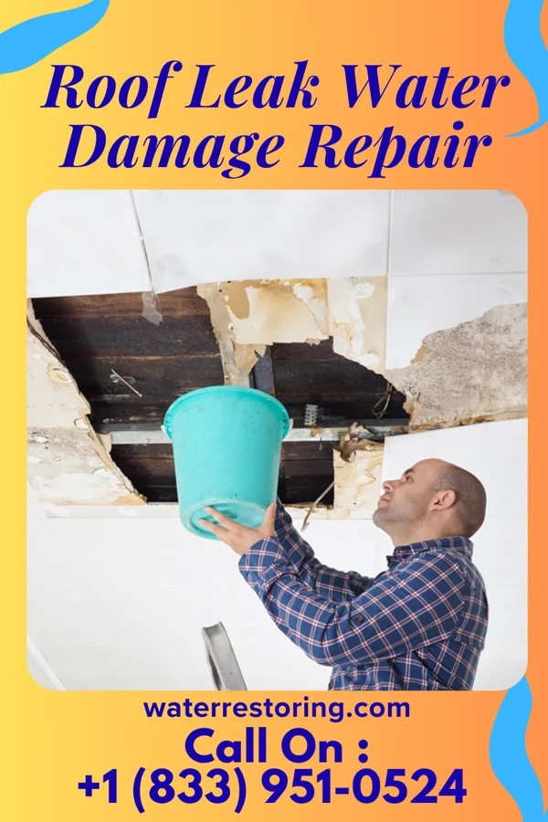 Roof Leak Water Damage Repair in Almira, WA